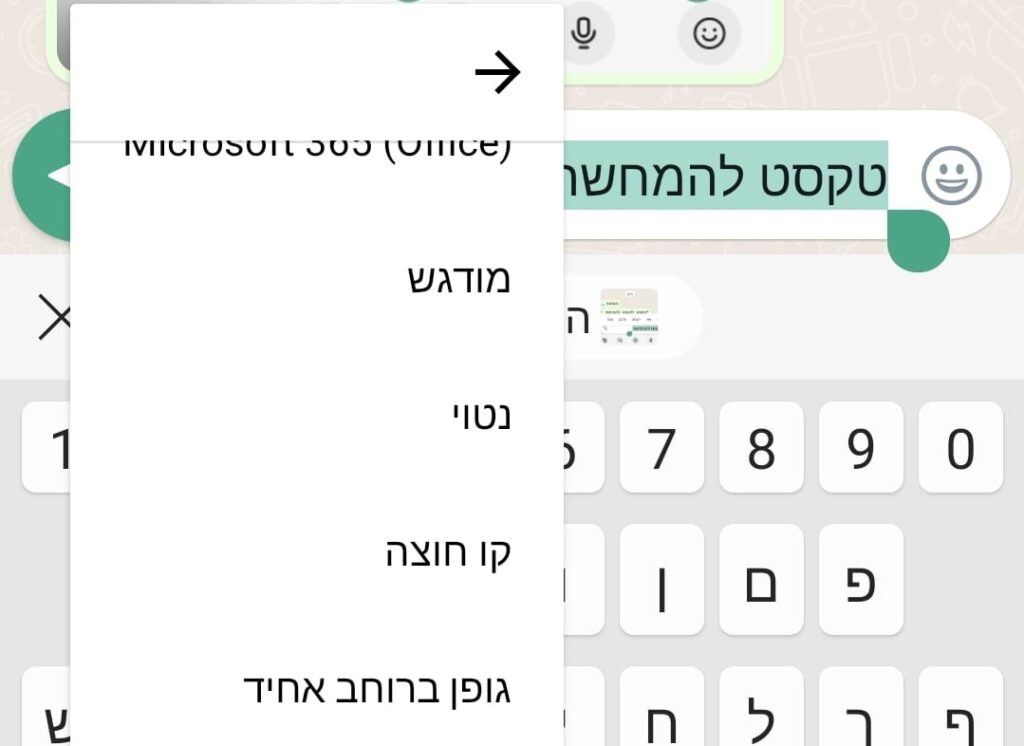 איך לעצב פונטים בווטסאפ? - צבי קרינסקי